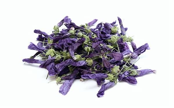 تصویر 3 از فروش گیاه دارویی پنیرک + قیمت خرید به صرفه